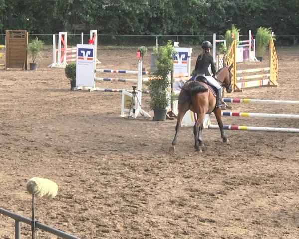 Reitturnier Wiesloch 2018