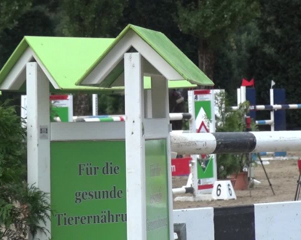 Leverkusener Reitertage - Teitscheider Hof 2018