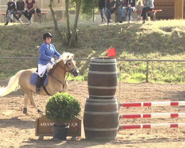 Reitturnier Wiesloch 2018