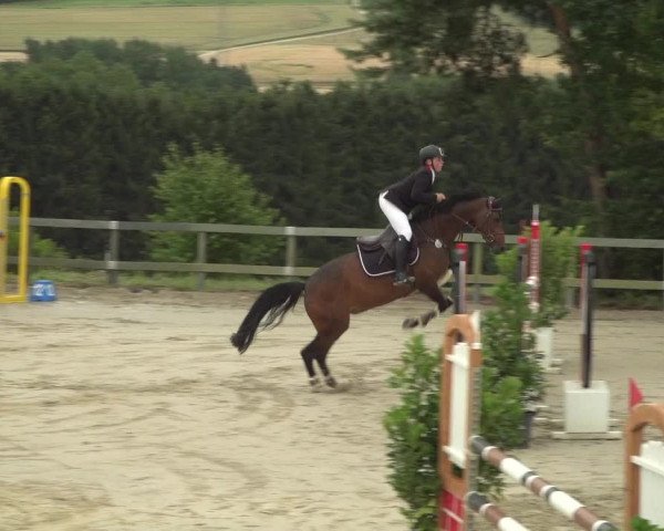 Reitturnier Kalenborn Hegehof 2018