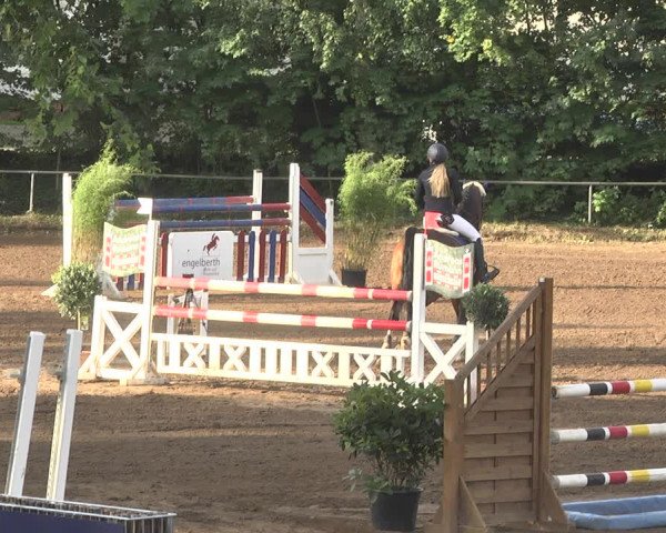 Reitturnier Wiesloch 2018