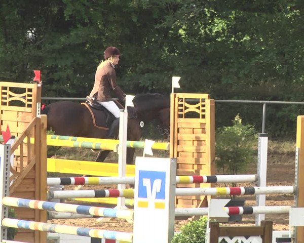 Reitturnier Wiesloch 2018