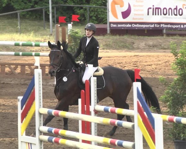 Reitturnier Wiesloch 2018