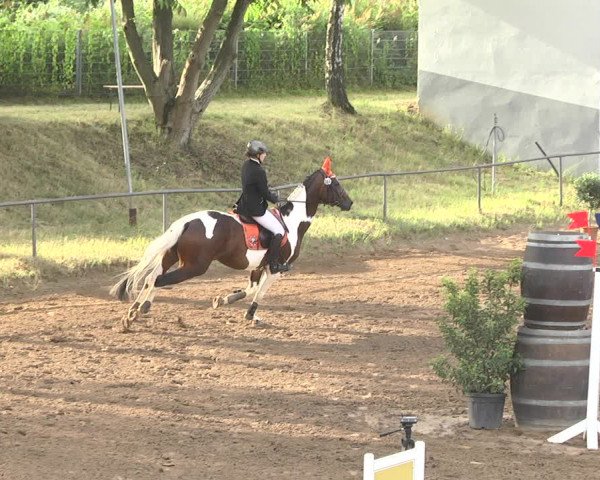 Reitturnier Wiesloch 2018