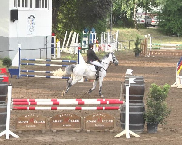 Reitturnier Wiesloch 2018