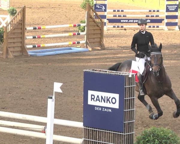 Reitturnier Wiesloch 2018