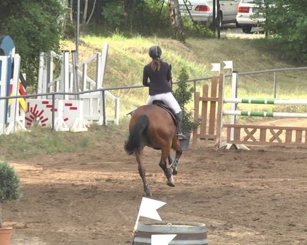 Reitturnier Wiesloch 2018