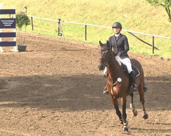 Reitturnier Wiesloch 2018