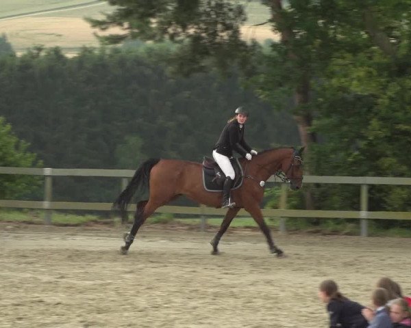 Reitturnier Kalenborn Hegehof 2018