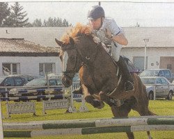 jumper Cara 171 (German Sport Horse, 2009, from Camarque 3)