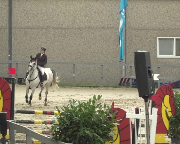 Reitturnier Kalenborn Hegehof 2018