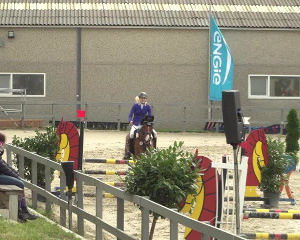 Reitturnier Kalenborn Hegehof 2018