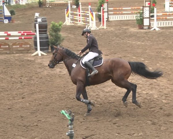 Reitturnier Wiesloch 2018