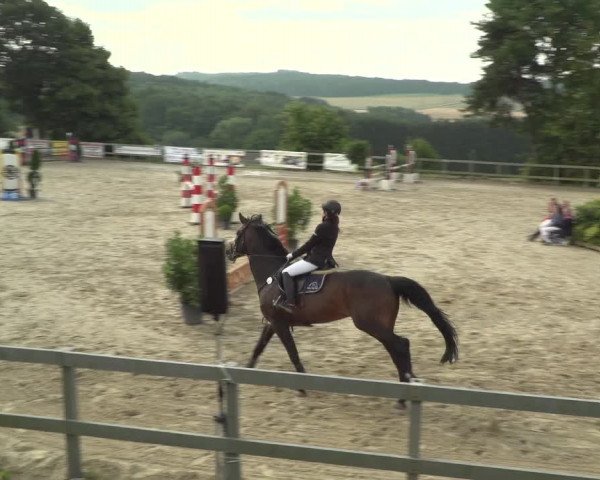 Reitturnier Kalenborn Hegehof 2018