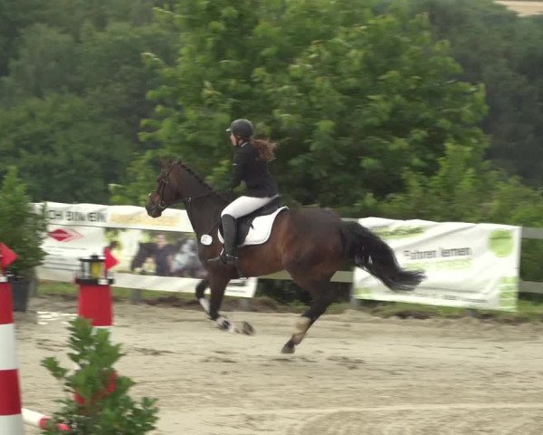 Reitturnier Kalenborn Hegehof 2018