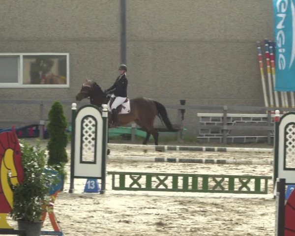 Reitturnier Kalenborn Hegehof 2018