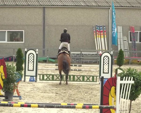 Reitturnier Kalenborn Hegehof 2018