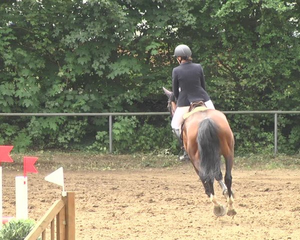 Reitturnier Wiesloch 2018