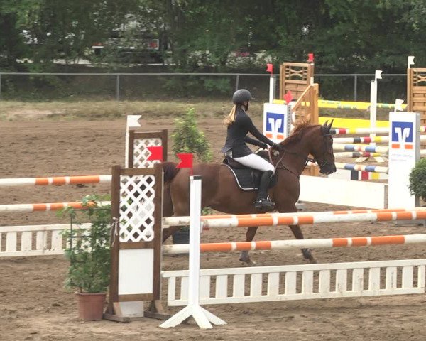 Reitturnier Wiesloch 2018