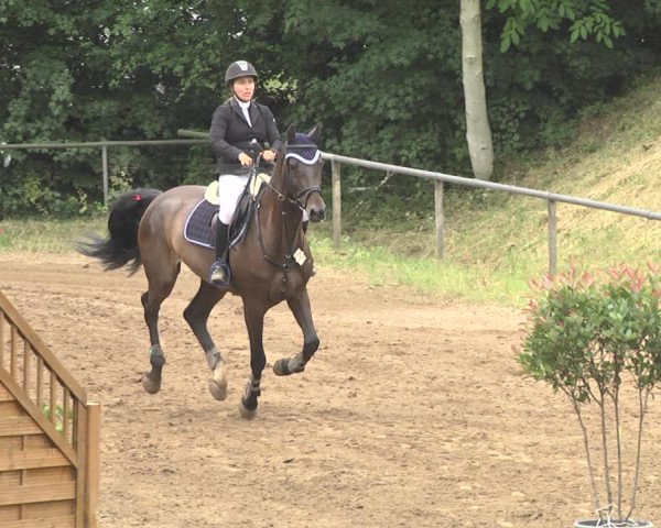 Reitturnier Wiesloch 2018