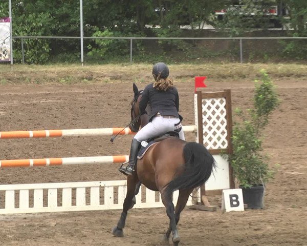 Reitturnier Wiesloch 2018