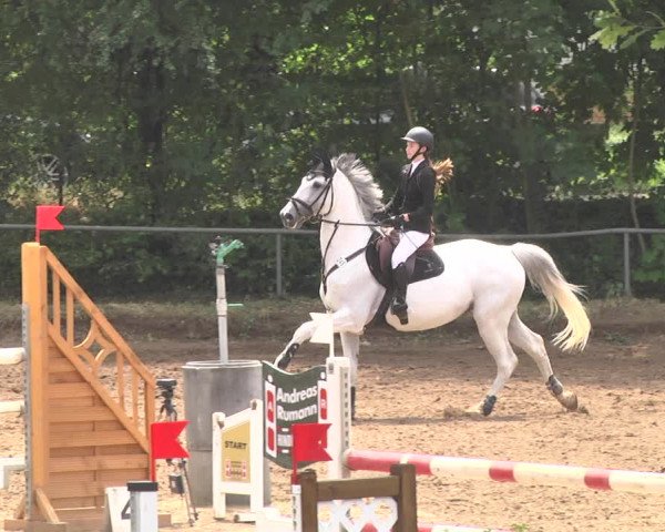 Reitturnier Wiesloch 2018
