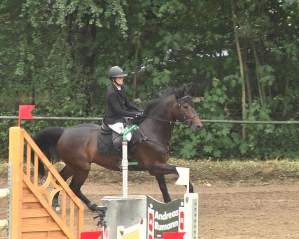 Reitturnier Wiesloch 2018