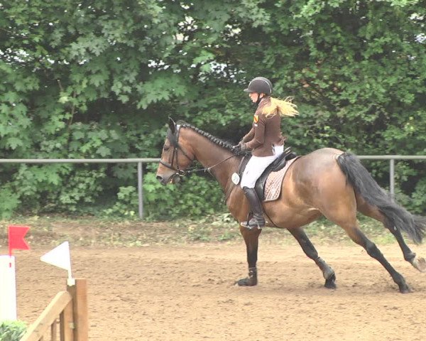 Reitturnier Wiesloch 2018