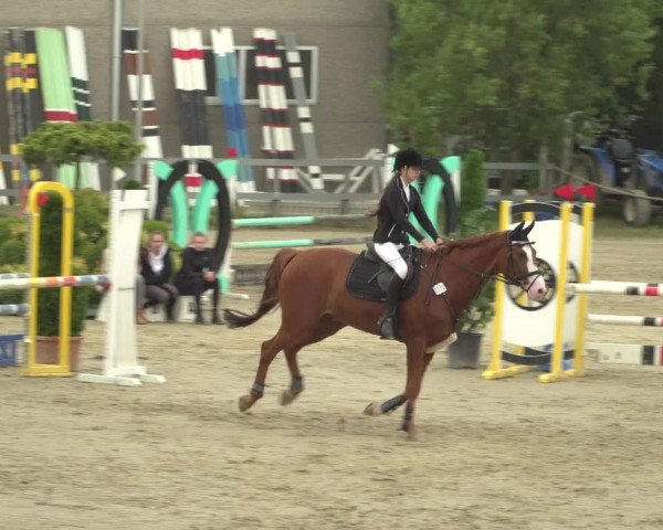 Reitturnier Kalenborn Hegehof 2018