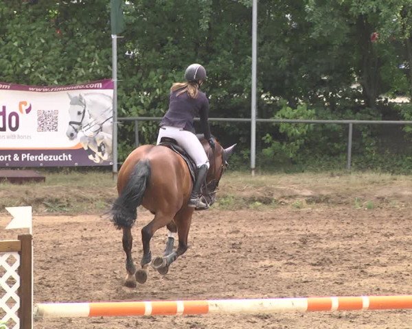 Reitturnier Wiesloch 2018