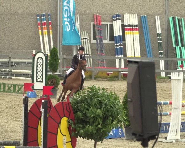 Reitturnier Kalenborn Hegehof 2018