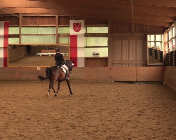 Reitturnier Schwerte-Gut Kückshausen 2018
