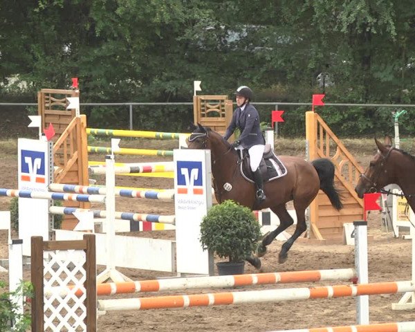 Reitturnier Wiesloch 2018
