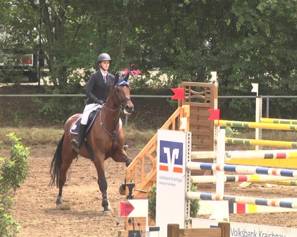 Reitturnier Wiesloch 2018