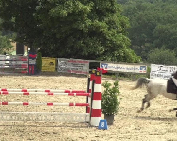 Reitturnier Kalenborn Hegehof 2018