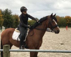 dressage horse Sundance Magic Kid (Oldenburg, 2004, from Sunny-Boy)