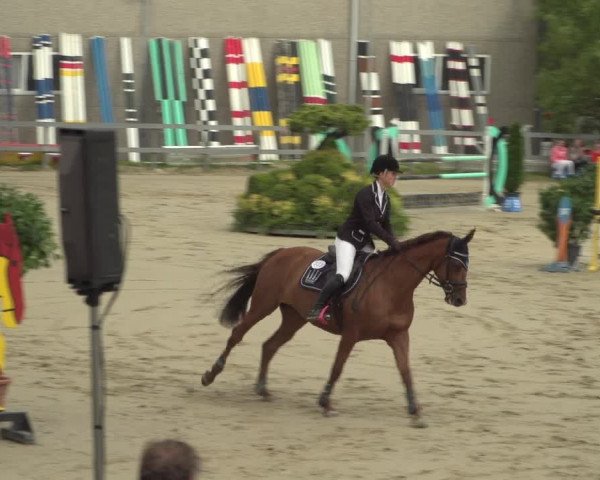 Reitturnier Kalenborn Hegehof 2018