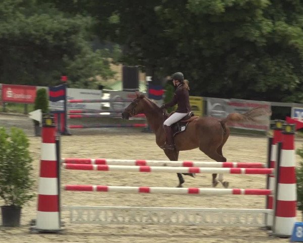 Reitturnier Kalenborn Hegehof 2018