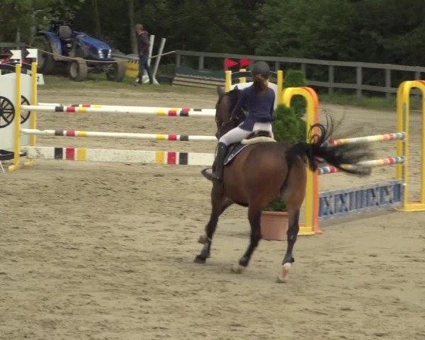 Reitturnier Kalenborn Hegehof 2018