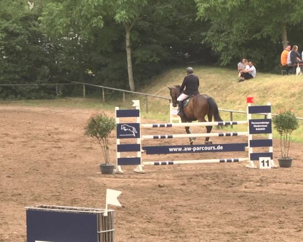 Reitturnier Wiesloch 2018