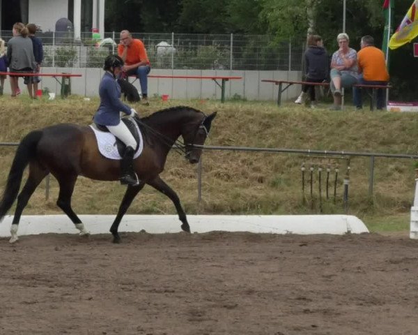 Reitturnier Wiesloch 2018