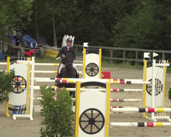 Reitturnier Kalenborn Hegehof 2018