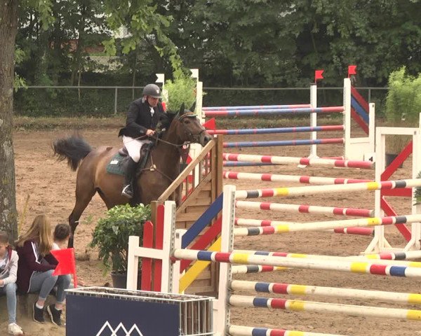 Reitturnier Wiesloch 2018