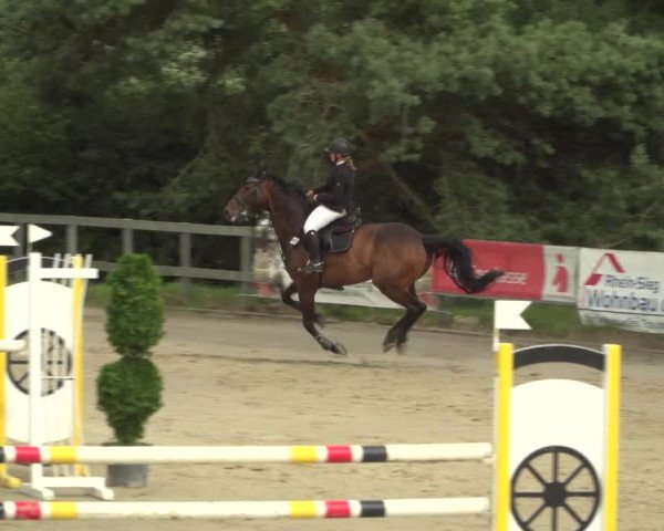 Reitturnier Kalenborn Hegehof 2018