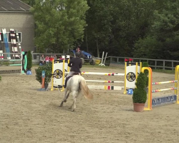 Reitturnier Kalenborn Hegehof 2018
