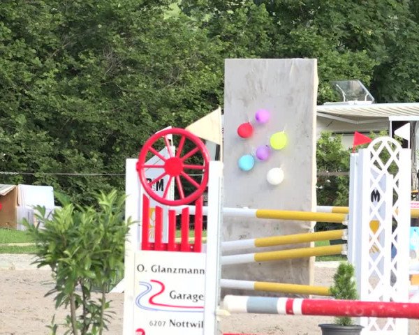Rottaler Pferdesporttage Buholz 2018