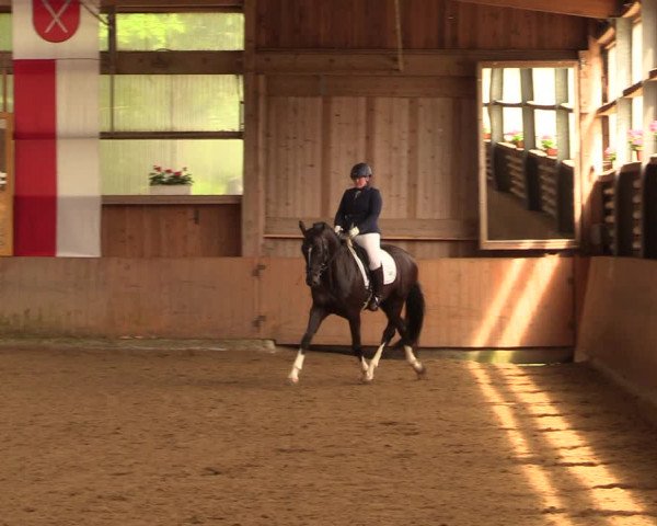 Reitturnier Schwerte-Gut Kückshausen 2018
