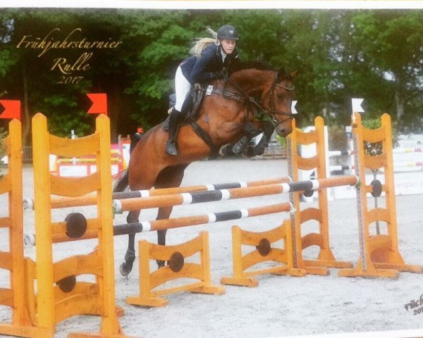 jumper Obora's Amber (Estonian Sport, 2009, from Arko III)