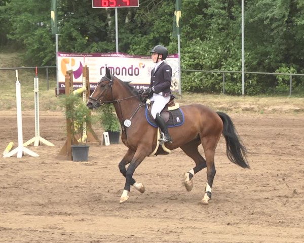 Reitturnier Wiesloch 2018