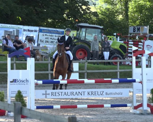 Rottaler Pferdesporttage Buholz 2018